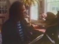 pochette album The fox