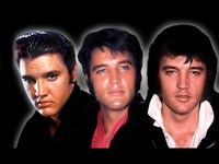 pochette album Can't help falling in love (traduction)