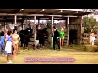 pochette album Dirty, dirty feeling