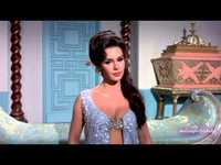 pochette album Golden coins