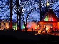 pochette album Holly leaves and christmas trees