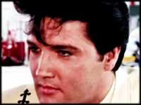 pochette album How can you lose what you never had?