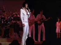 pochette album I'll never know