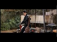 pochette album I'm a roustabout