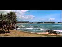 pochette album Island of love