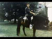 pochette album Singing tree