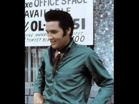 pochette album Too much monkey business