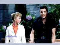 pochette album Where do you come from