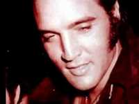 pochette album Without love (there is nothing)