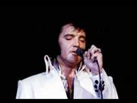 pochette album Woman without love