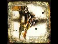 pochette album Youth is forgotten