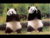 pochette album It's alright