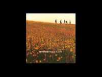 pochette album Giving, forgiving, and giving in