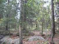 pochette album Kiiminkijoki