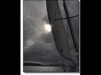 pochette album Tuna fish