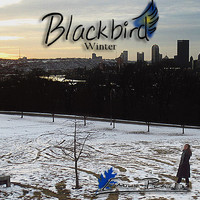 pochette album Blackbird