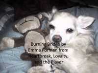 pochette album Burning bridge