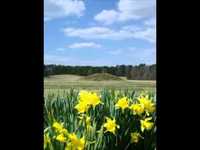 pochette album Tragedy