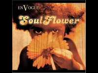 pochette album All you see