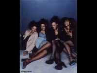 pochette album I've got your gun