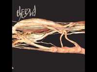 pochette album Entirety in infancy