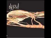 pochette album Opalescence i.