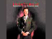 pochette album Heart of stone