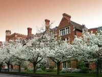 pochette album Beautiful baby