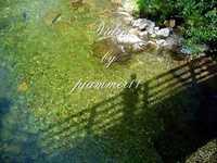 pochette album Soldier in the rain