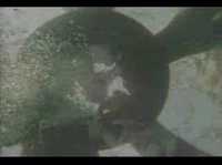 pochette album Drowning