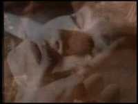 pochette album Hallelujah