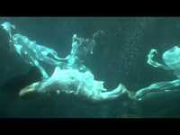 pochette album The language of sound