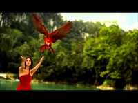 pochette album Why! ...