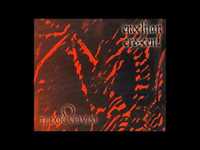 pochette album Grey skin