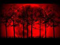 pochette album December ends