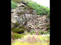 pochette album Gasoline