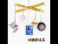 pochette album Icarus