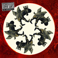 pochette album The dead, the dying and the dying to be dead