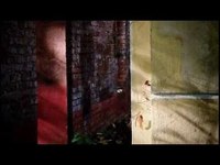 pochette album Ni forte ni fragile