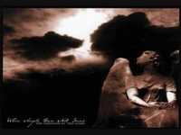 pochette album The endless