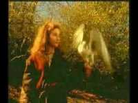 pochette album Ameno (remix)