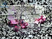 pochette album In the name of the heart