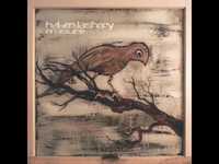 pochette album Mad as we are