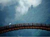 pochette album I'm through with love