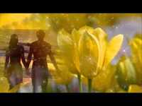 pochette album I was born to love you