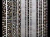 pochette album Yes everyone