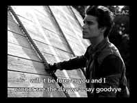 pochette album Without you i'm nothing