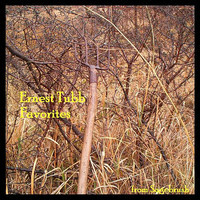 pochette album I'll always be glad to take you back