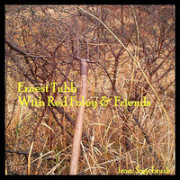 pochette album No help wanted