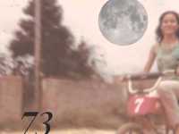 pochette album Any fool a man